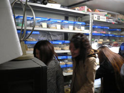 P1000758.jpg