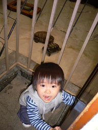 P1000791.jpg