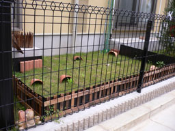P1000869.jpg