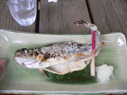 P1010349b.jpg