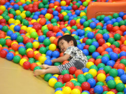 P1010412b.jpg