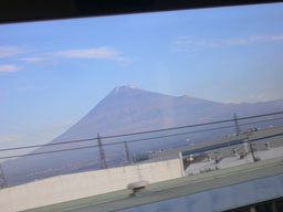 P1010629b.jpg
