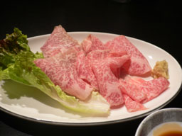 P1010638b.jpg