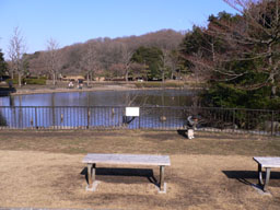 P1000748.jpg