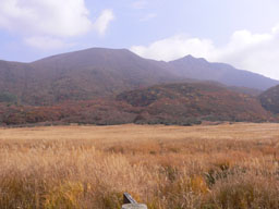 P1000675.jpg