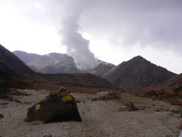 P1000676.jpg